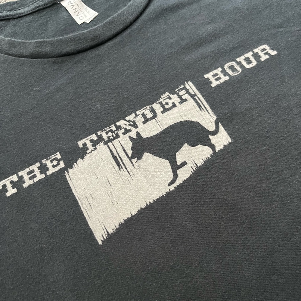 🎸 '15 Amy Ray Solo Artist Tour Tender Hour Dog Live In Seattle Album IG Soft Tee - Picture 9 of 13